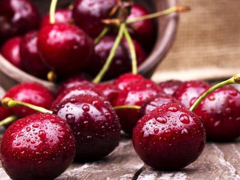 Вишня купить саженцы из питомника в Керчи
